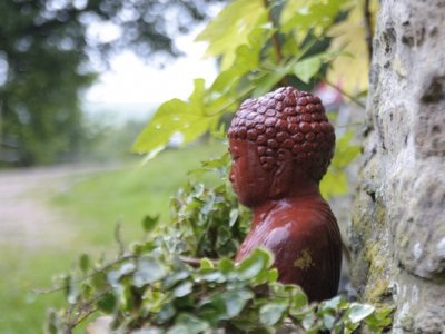 Day of Silent Meditation at The Barn