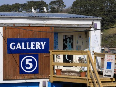 Exhibition at Gallery 5, Salcombe, Devon