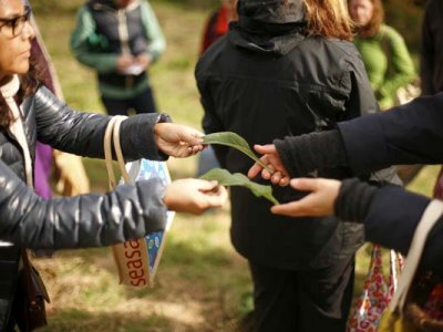 Family Forage Day - October