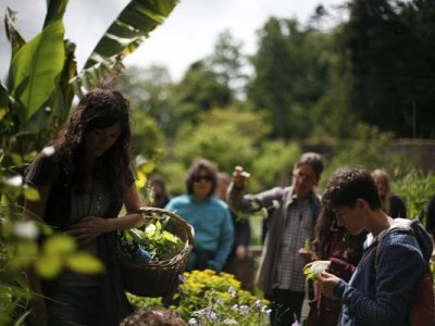 Family Forage Day