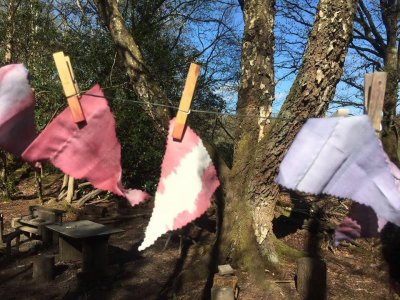 Forest School at Torre Abbey