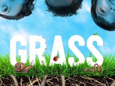 Grass – Second Hand Dance