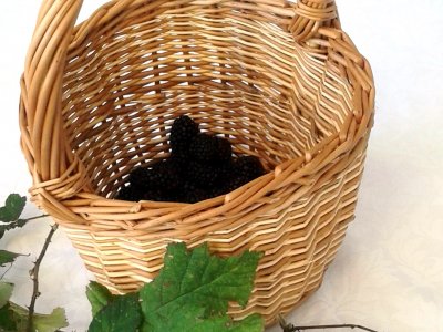 Making Baskets: Blackberry basket