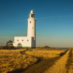 Mindfulness for Health and Well-Being Taster in Totnes