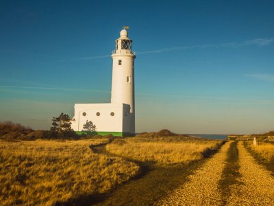 Mindfulness for Health and Well-Being Taster in Totnes