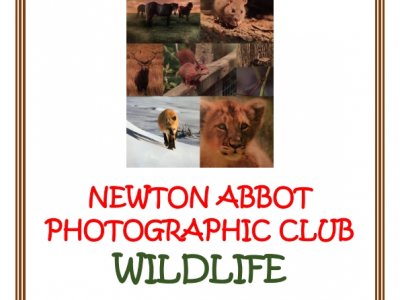 Newton Abbot Photographic Club