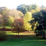 POETSfriday at Cockington Court