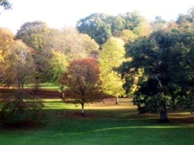 POETSfriday at Cockington Court