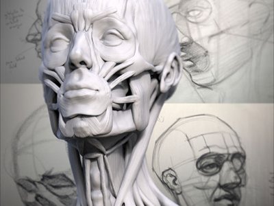 Portrait Anatomical Drawing Workshop