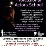 Professional actors training:  Professional Development