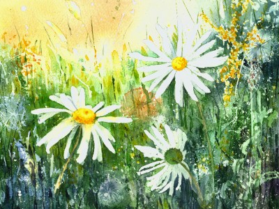 Rob & Sian Dudley: Exhibition of Watercolour Paintings