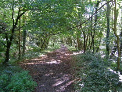 South Devon Area of Outstanding Natural Beauty