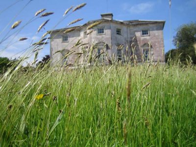 Summer Open Day