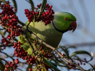 Torbay Photographic Society Public Exhibition