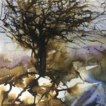 Totnes and Dartington Open Studios