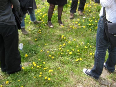 Walk the Wharf with Rebecca Chesney