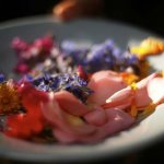 Wild Food & Foraging retreat - 3 nights