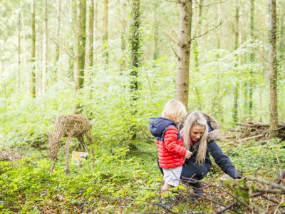 Woodland Wonder: Family day in the Deer Park