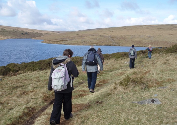 Approaching an Exchange: Dartmoor