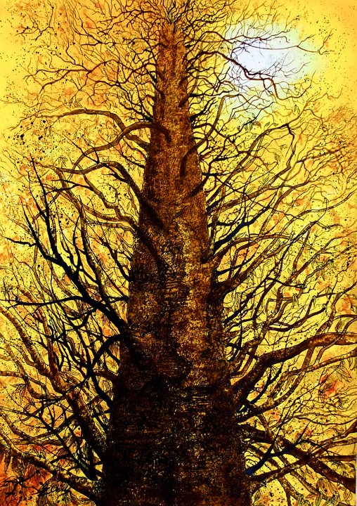 Arbre D'or