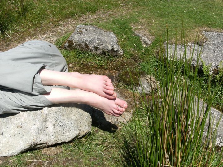 Arts & Ecology on Dartmoor