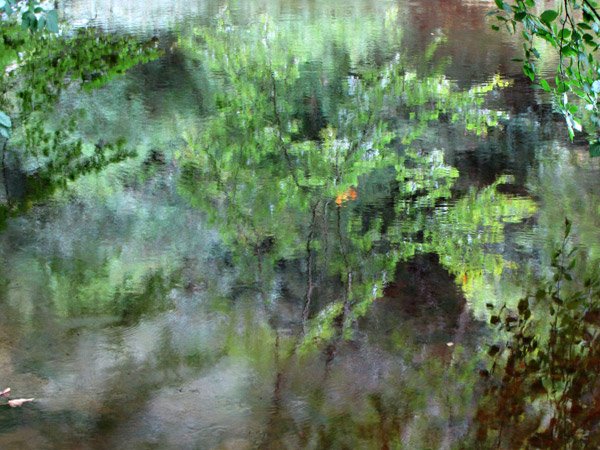 Avon Reflection 3