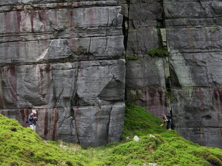 Botany expedition on Cuilcagh mountain