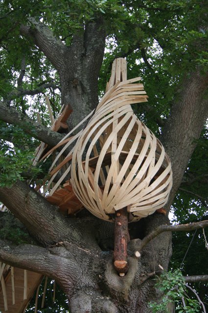 Dartmoor Tree House