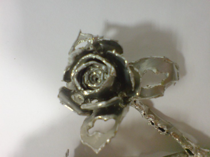 Double Headed Rose