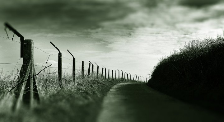 Fenceline