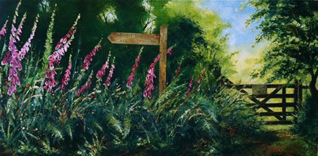 Foxgloves at Dartmeet   SOLD