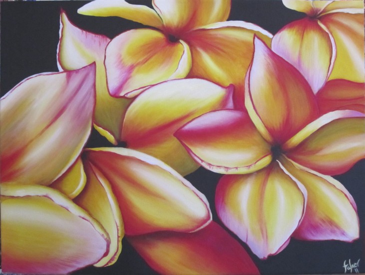 Frangipani