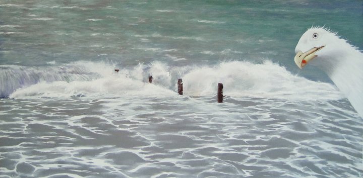 Groynes & Gulls