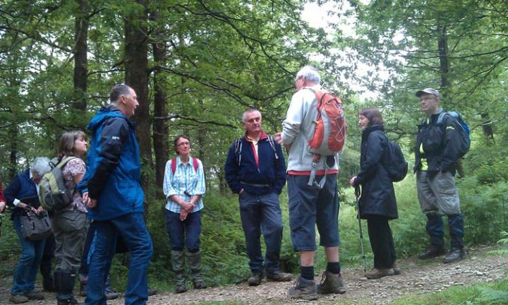 Hembury Woods with John Risdon