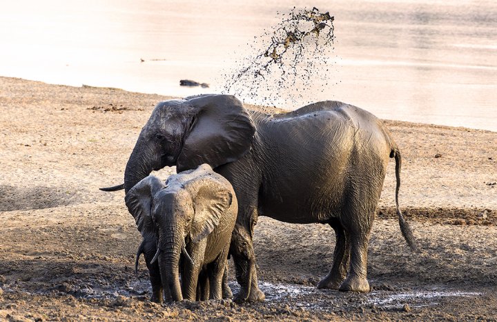 Its raining mud by Fiona Haddon