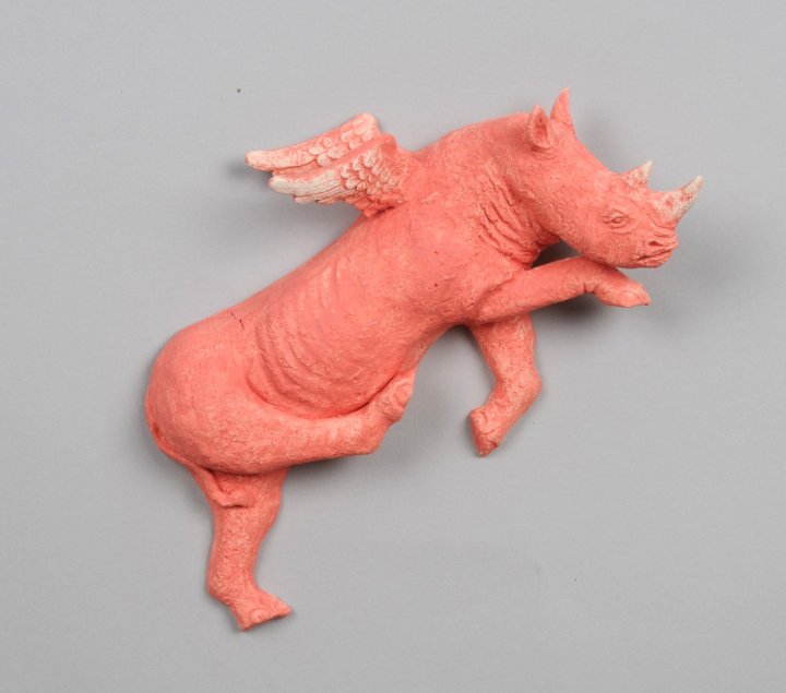 Pink Flying Rhinoceros