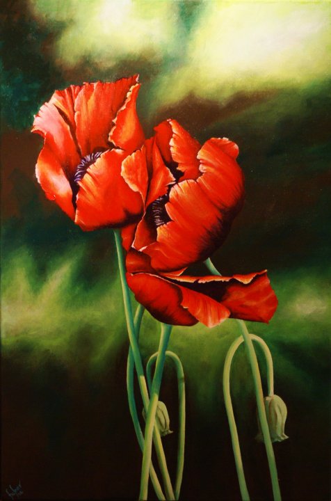 Poppies