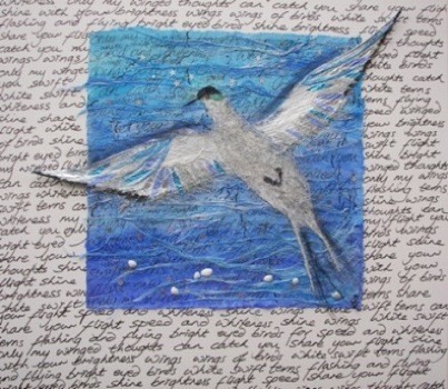 Sea Swallow