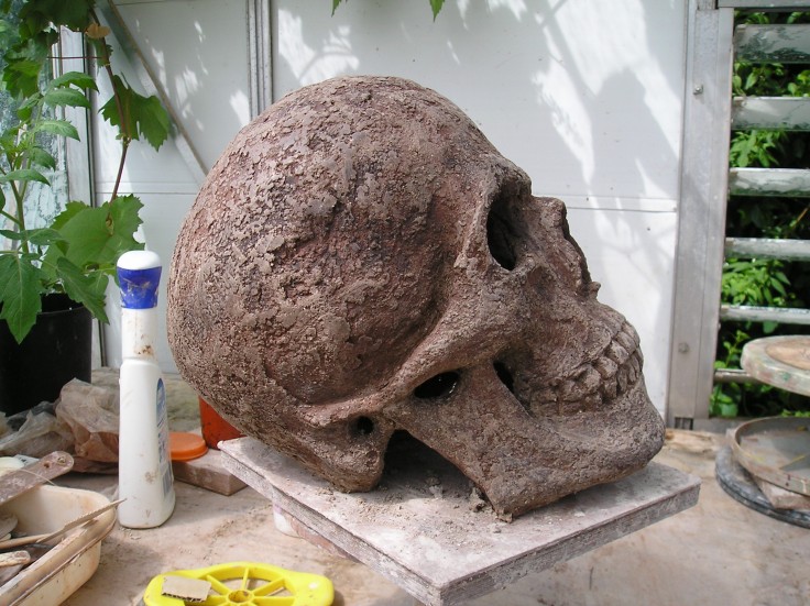 Skull 1