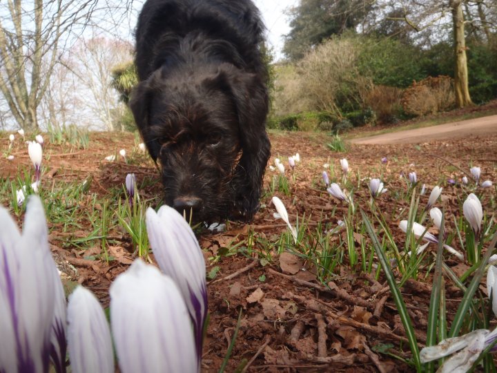 "Sniffing out the future"