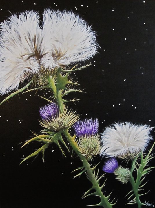 Thistle