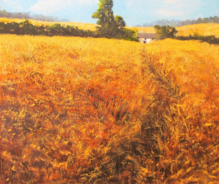 Wheat Fields by Marion Sawl