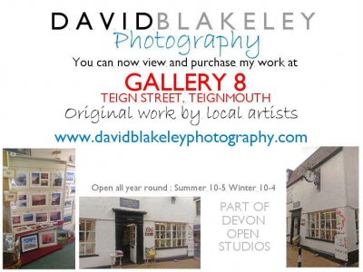 David Blakeley in Gallery 8 Teignmouth