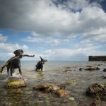 Dobermanns, Babbacombe Beach