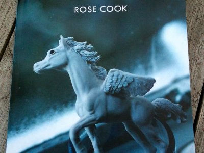 Rose Cook has a new book of poetry