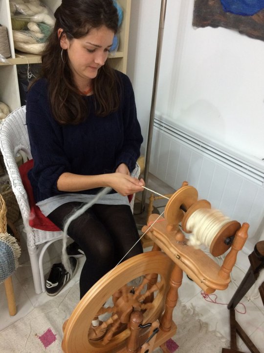 Beginner Handspinning Workshop