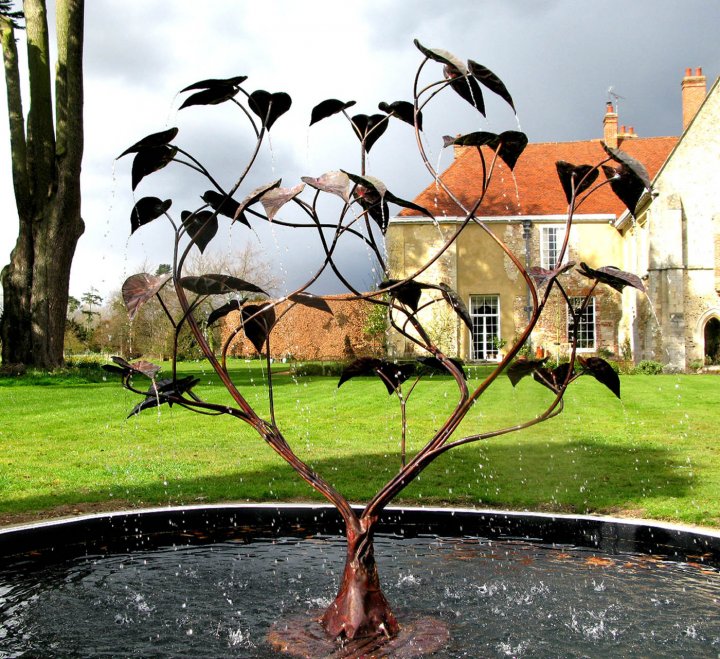 Catalpa Tree Fountain