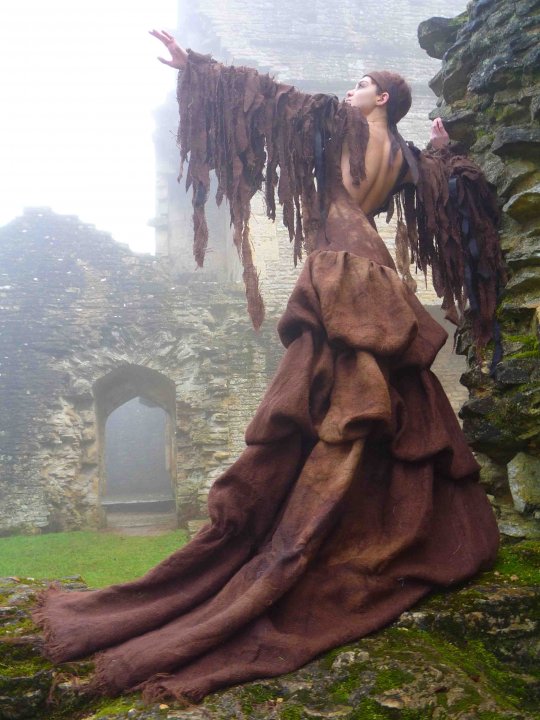 Golden Eagle gown from 'Worn to be Wild' touring exhibition