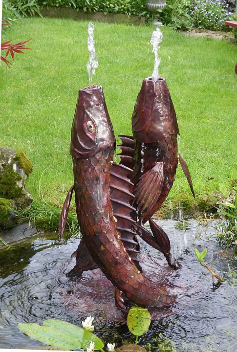 Koi Carp Fountain