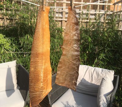 Salmon Skin Fish Tanning